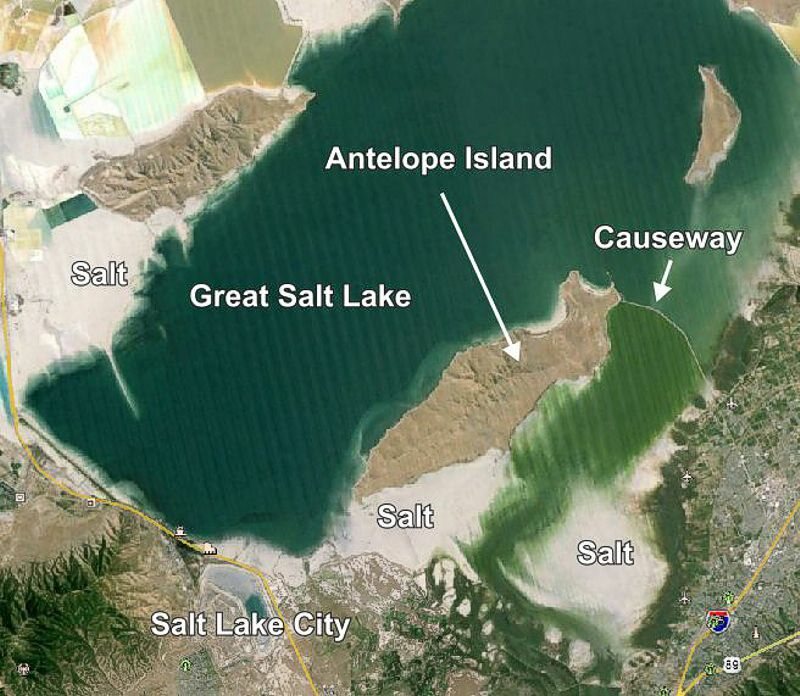 Click to See Next Image